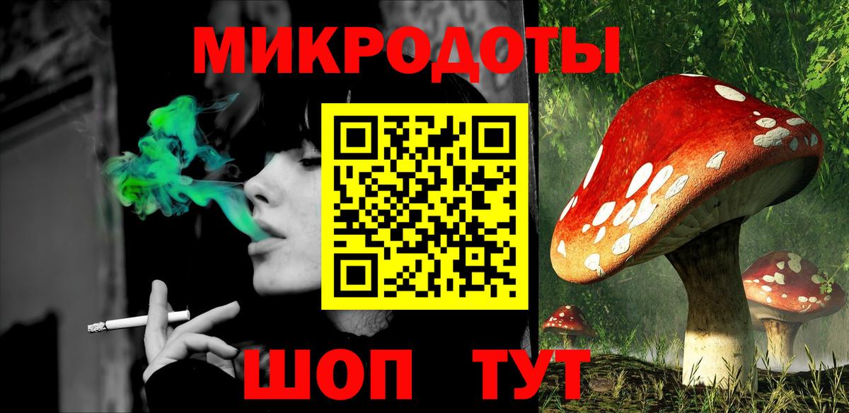 наркотики  Вход с VPN  Ачхой-Мартан  Псилоцибиновые грибы GOLDEN TEACHER  Псилоцибиновые грибы Cubensis 