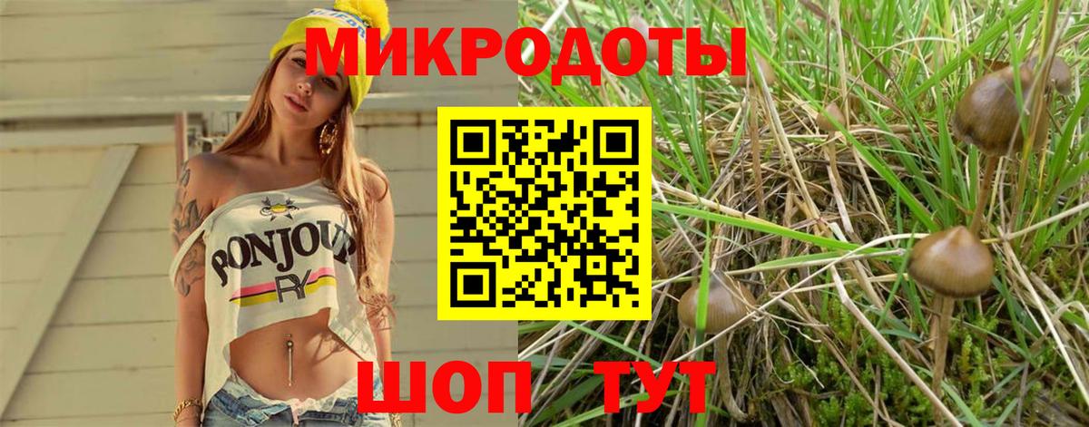 Псилоцибиновые грибы MAGIC MUSHROOMS Ачхой-Мартан